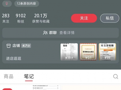 小红书卖“i人社会化指南”单价19.9电子资料，做到月入近3W【项目拆解]
